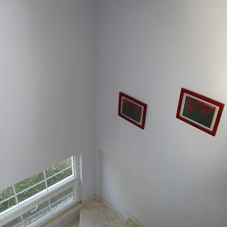 Loft At Lura 1 *